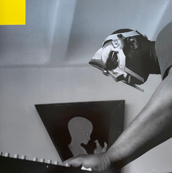 madvillainy è il vinile più venduto